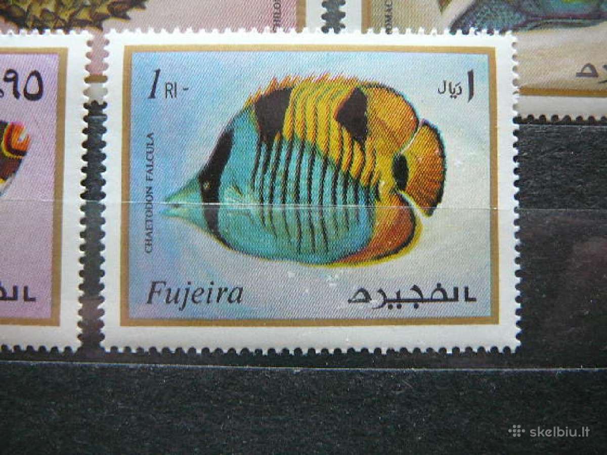 Juros fauna Fudzeira svarus albb104 - nuotraukos Nr. 4