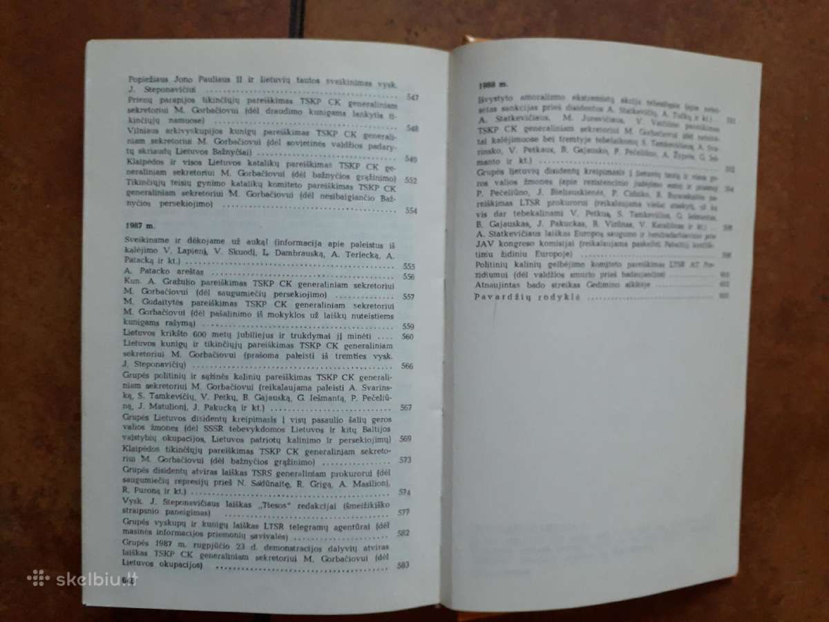 Nenugalėtoji Lietuva 2 tomas - nuotraukos Nr. 8