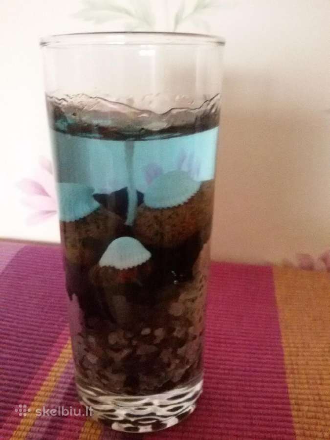 Senoviški kalėdiniai eglutės žaisliukai - nuotraukos Nr. 14
