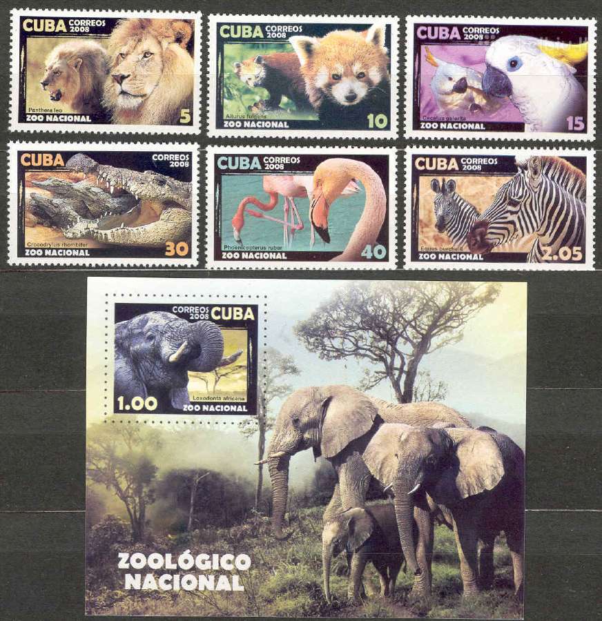 Kuba 2008. Zoologijos sodo gyvūnai.