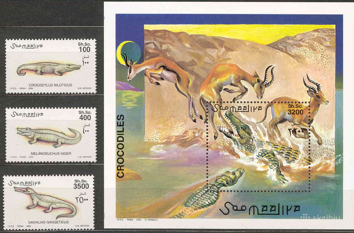 Somalis 2000. Krokodilai.
