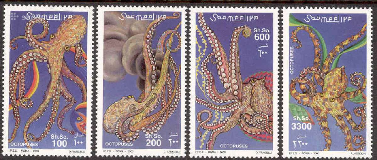 Somalis 2000. Aštunkojai.