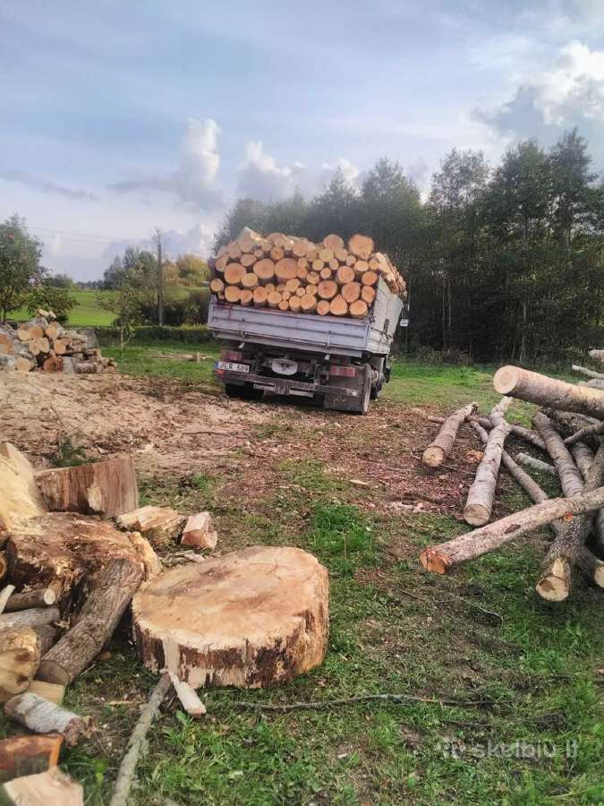 Malkos Gera Kaina - nuotraukos Nr. 2