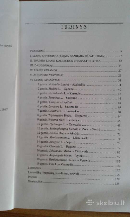 G.jurkevičienė Lianos 1997 m. - nuotraukos Nr. 2