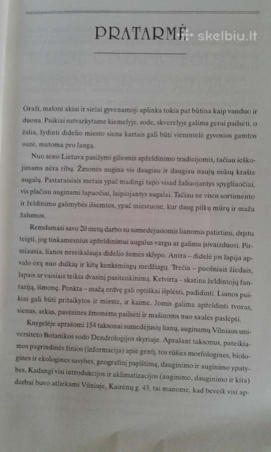 G.jurkevičienė Lianos 1997 m. - nuotraukos Nr. 3