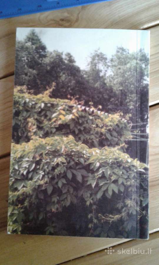 G.jurkevičienė Lianos 1997 m. - nuotraukos Nr. 7