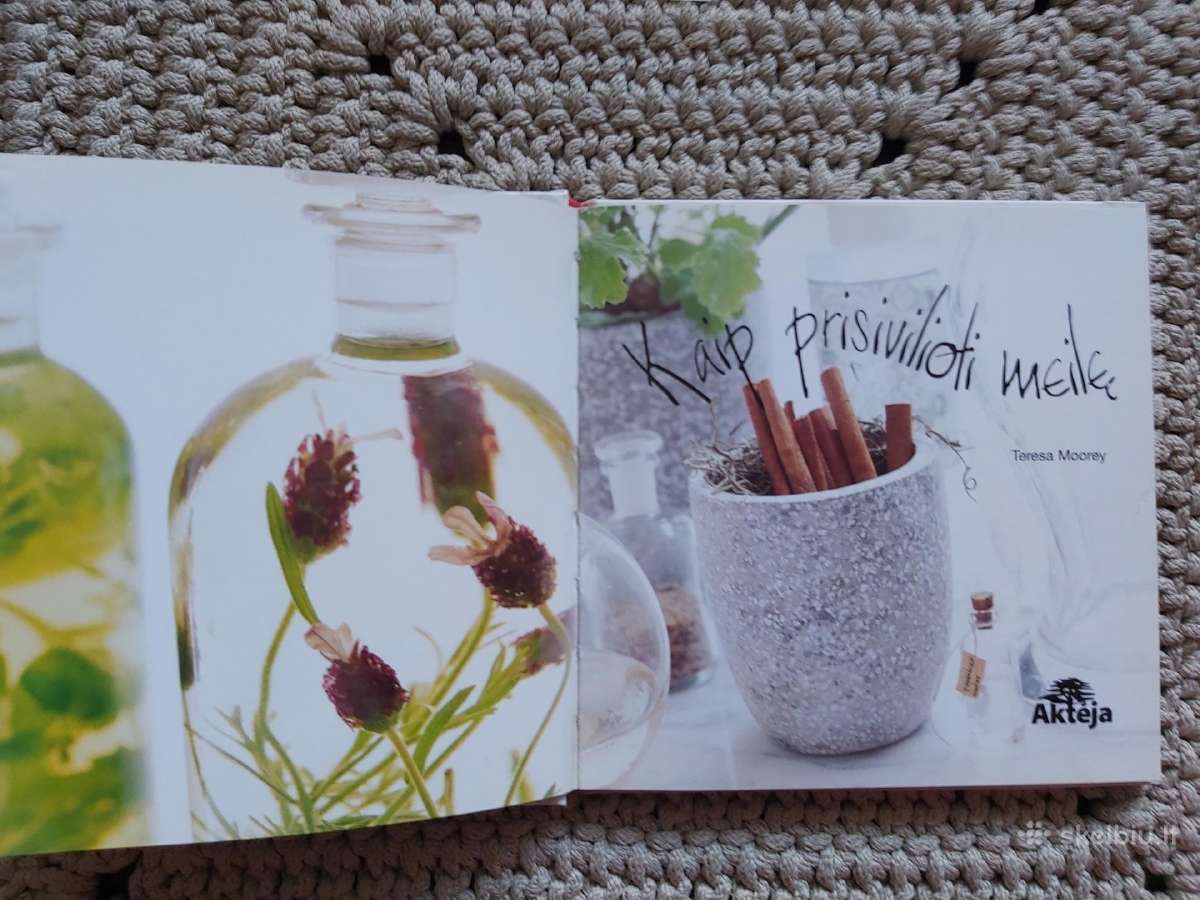 Knyga,kaip prisivilioti meilę" - nuotraukos Nr. 2