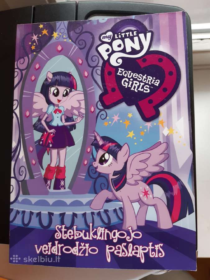 Vaikiška knyga Stebuklingojo veidrodžio paslaptis