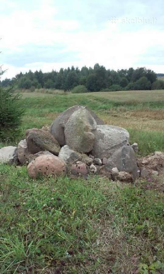 Juodžemis smelis ,žvyras,gruntas,durpės pardavimas - nuotraukos Nr. 4