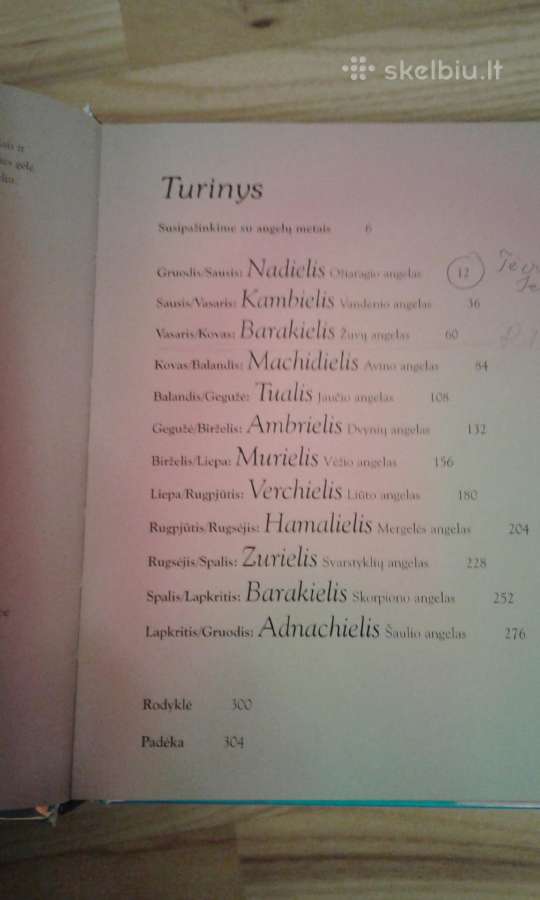 A. Me Gerr . Angelas kiekvienai dienai 2007 m. - nuotraukos Nr. 4