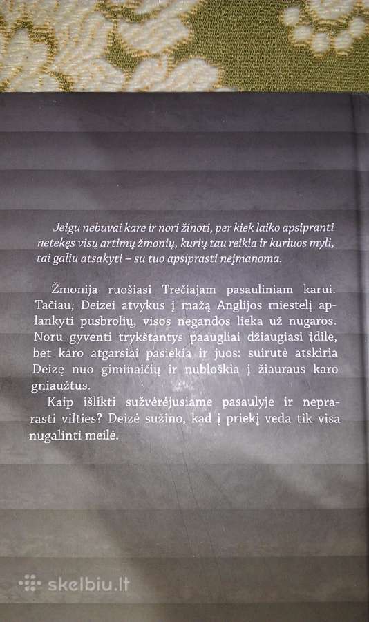 "Taip dabar ir gyvenu"meg Rosoff,2017m. - nuotraukos Nr. 3