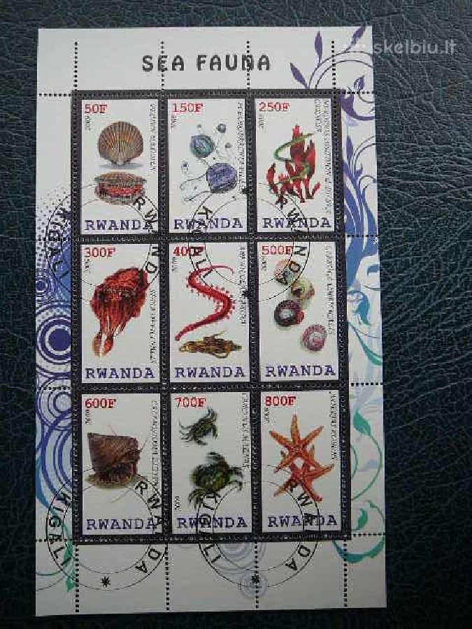 Juros fauna antsp. s581np
