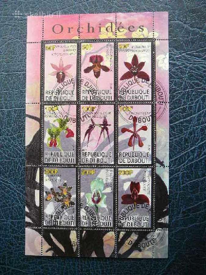Orchidejos Geles antsp. s614np