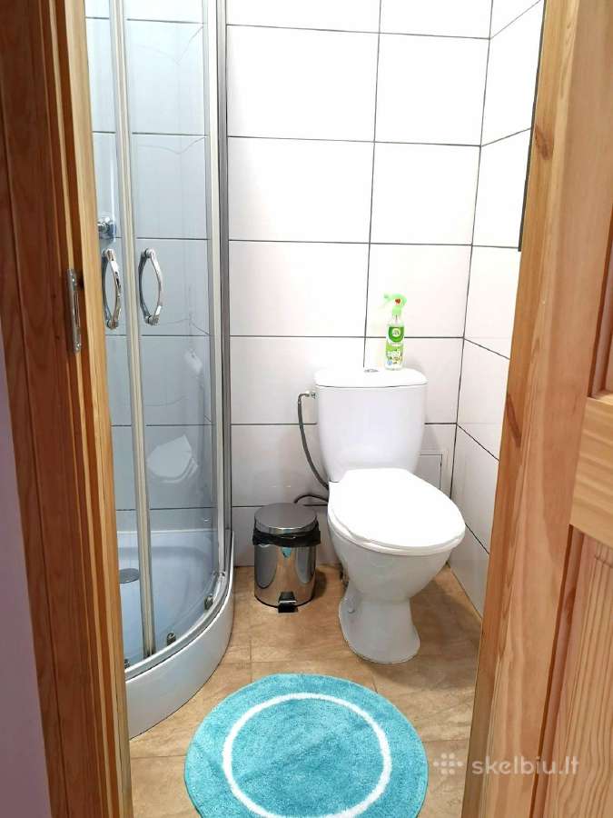 Druskininkų centre jaukus butas studija - nuotraukos Nr. 20