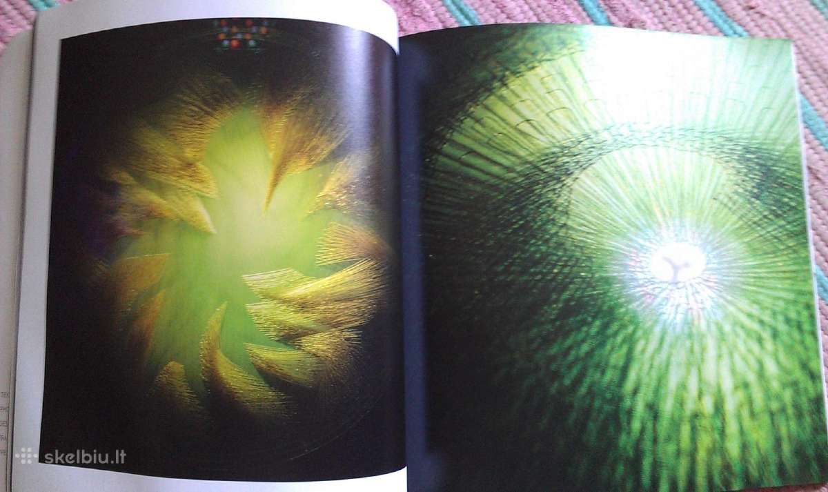 "Dance of Fire"jolanta Šmiditienė 2012m. - nuotraukos Nr. 2
