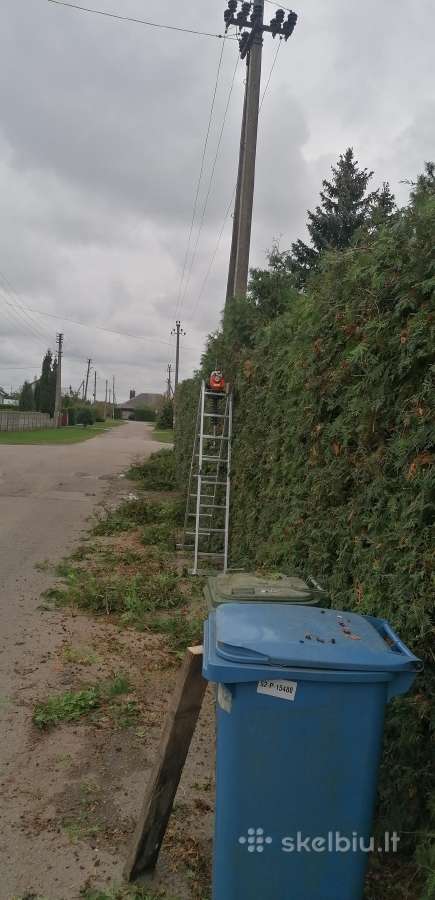 Žolės pjovimas, Gyvatvorių genėjimas - nuotraukos Nr. 16