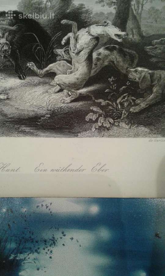 Litografijos spaudiniai - nuotraukos Nr. 4