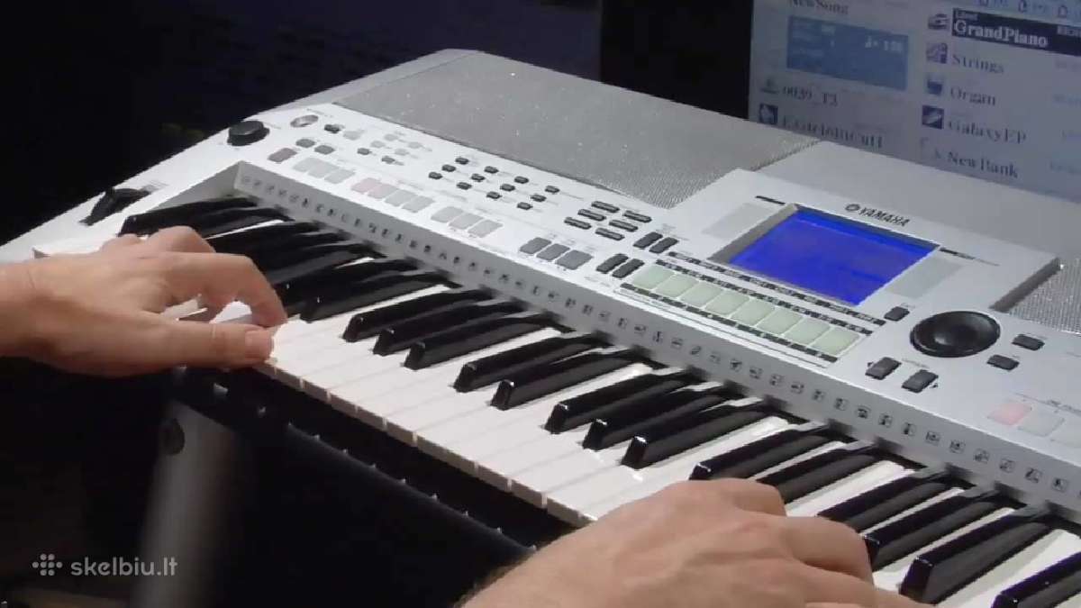 Muzikanto paslaugos