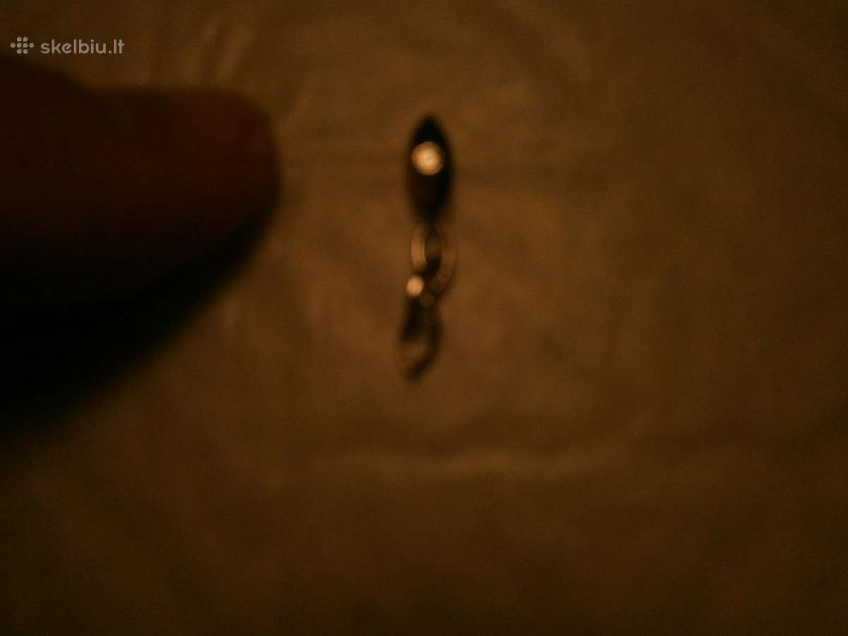 Sidabriniai auskarai su deimantais 0,03ct - nuotraukos Nr. 4