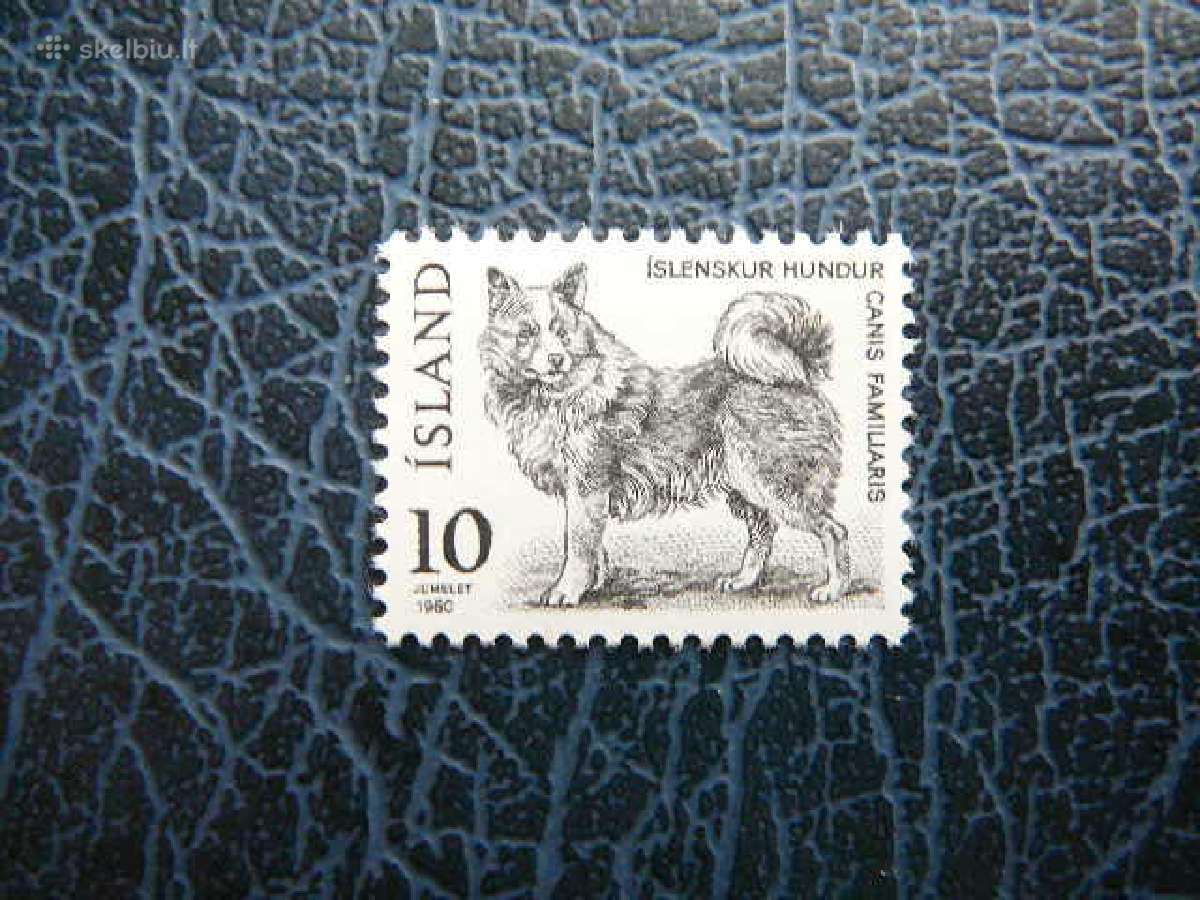 Sunys Islandija 1980 svarus isl550