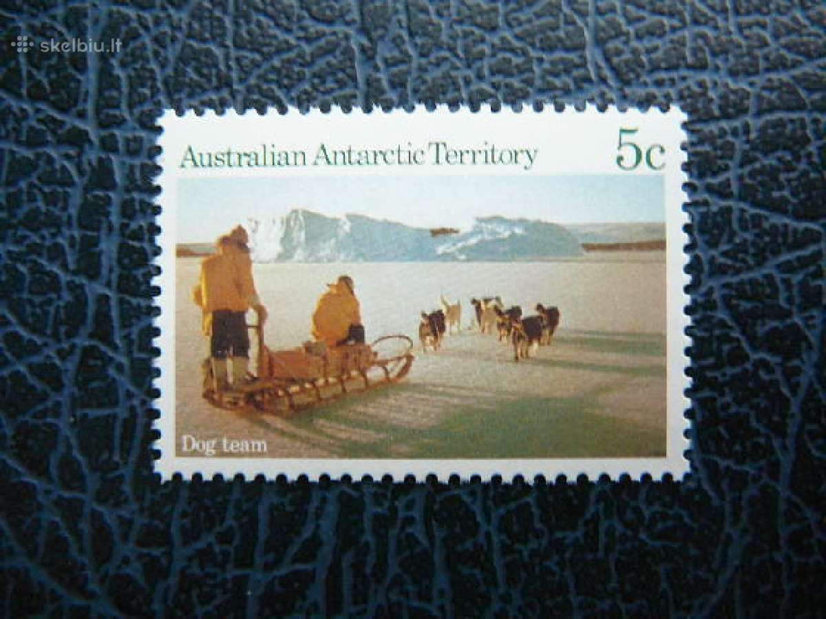 Sunys Siaure Australijos Antarktida svarus alb676