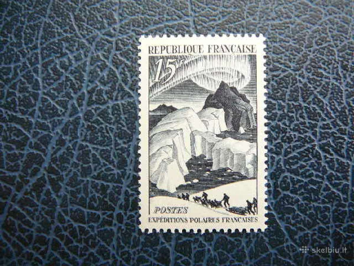 Sunys Siaure Prancuzija svarus alb679 - nuotraukos Nr. 2