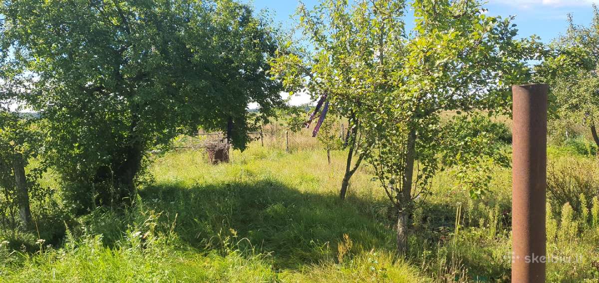 Frezavimas,vejos įrengimas sodybų tvarkymo darbai - nuotraukos Nr. 17