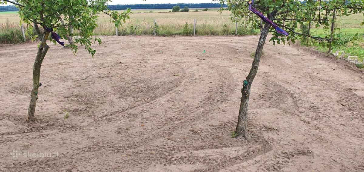 Frezavimas,vejos įrengimas sodybų tvarkymo darbai - nuotraukos Nr. 20