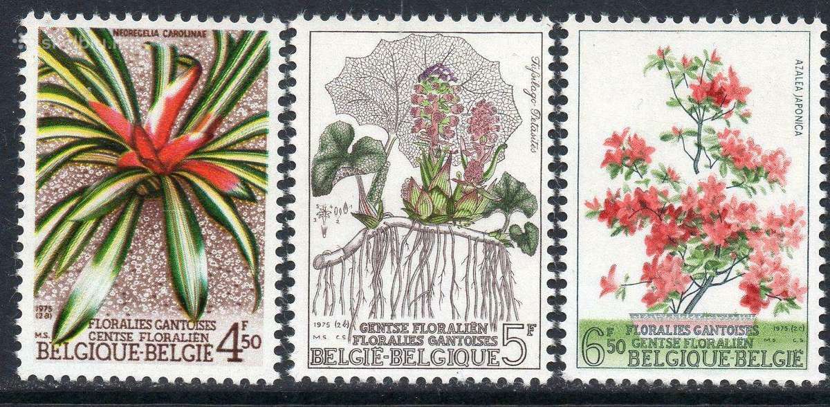 Belgija 1975 m. Geles