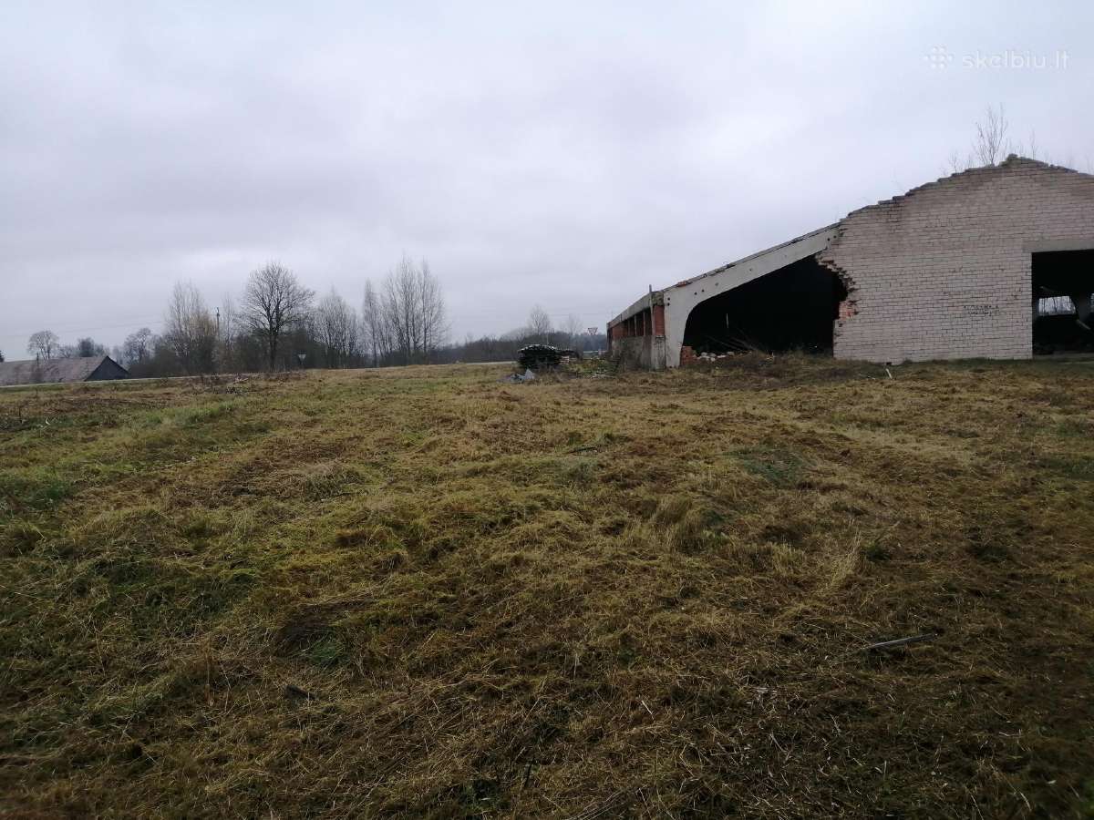 Žemės :frezavimas,arimas.zolės Krumu Pjovimas. - nuotraukos Nr. 21
