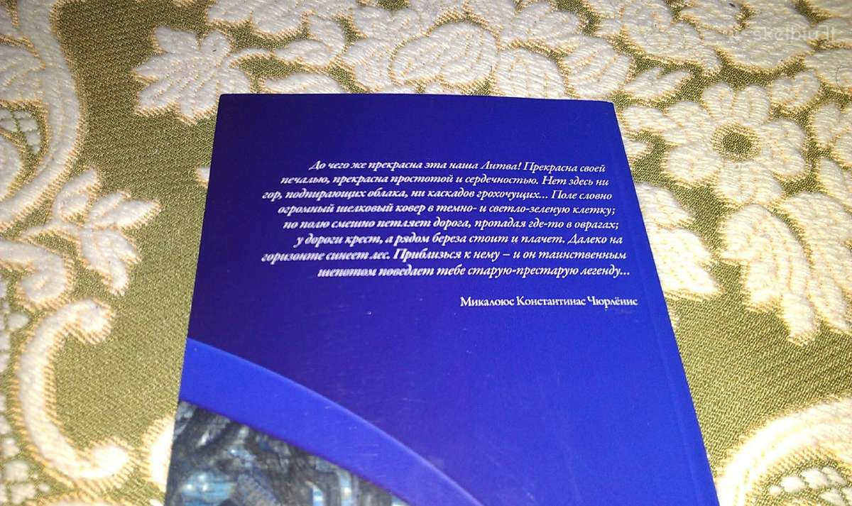 "литва"синочкина Бируте 2008 m. - nuotraukos Nr. 6