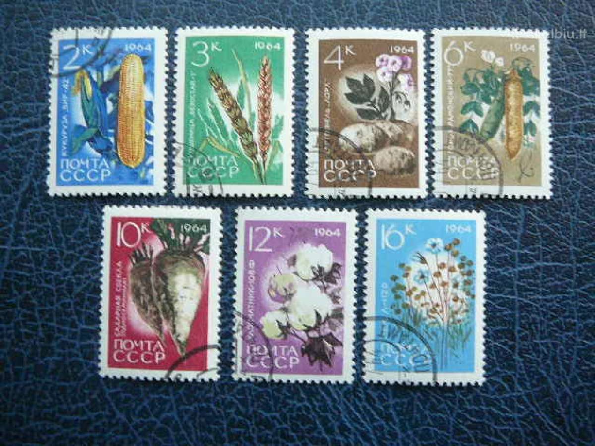 Ssr Darzoves1964 antsp. a2922a