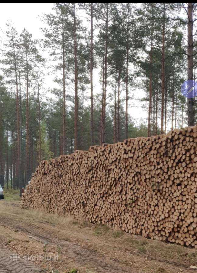 Brangiai superkame miškus su žeme ir medieną - nuotraukos Nr. 3