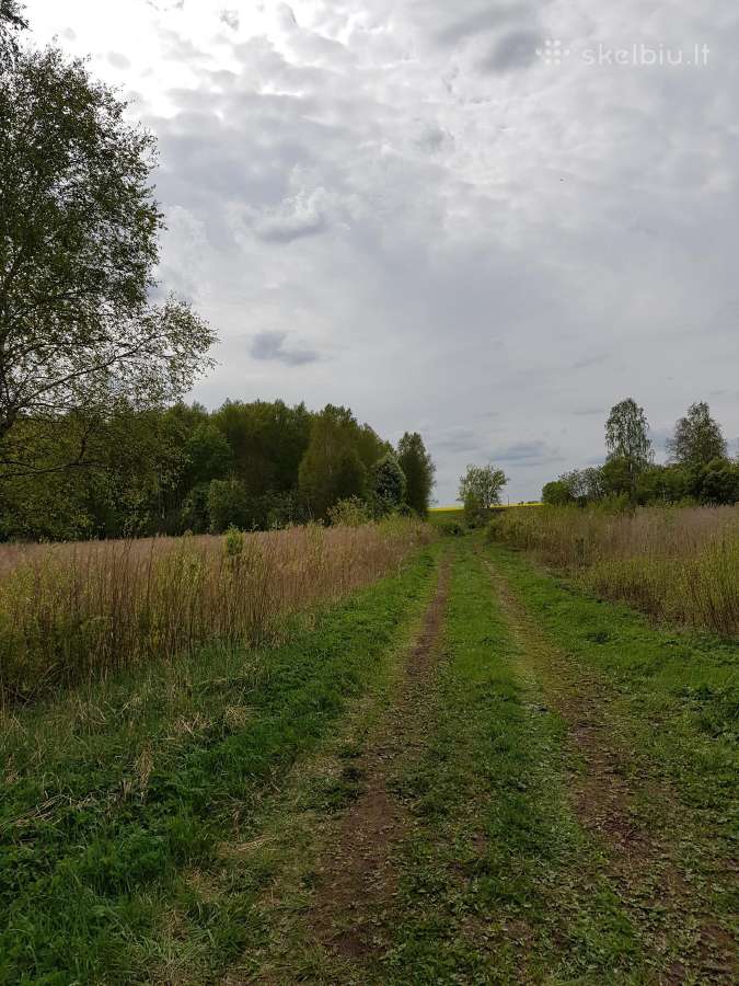 29 ha Zemes Ukio ž. Papelkiuose ir 7 ha Jokšiu k - nuotraukos Nr. 4