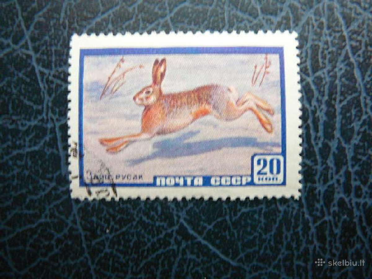 Ssr 1960 Kiskis antsp. a2323 - nuotraukos Nr. 2
