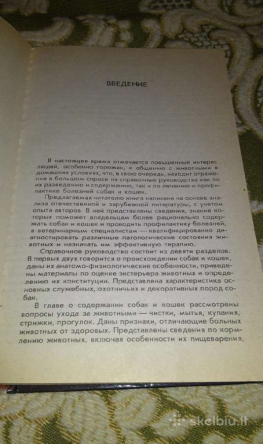 "ваши домашние четвероногие друзья" - nuotraukos Nr. 2
