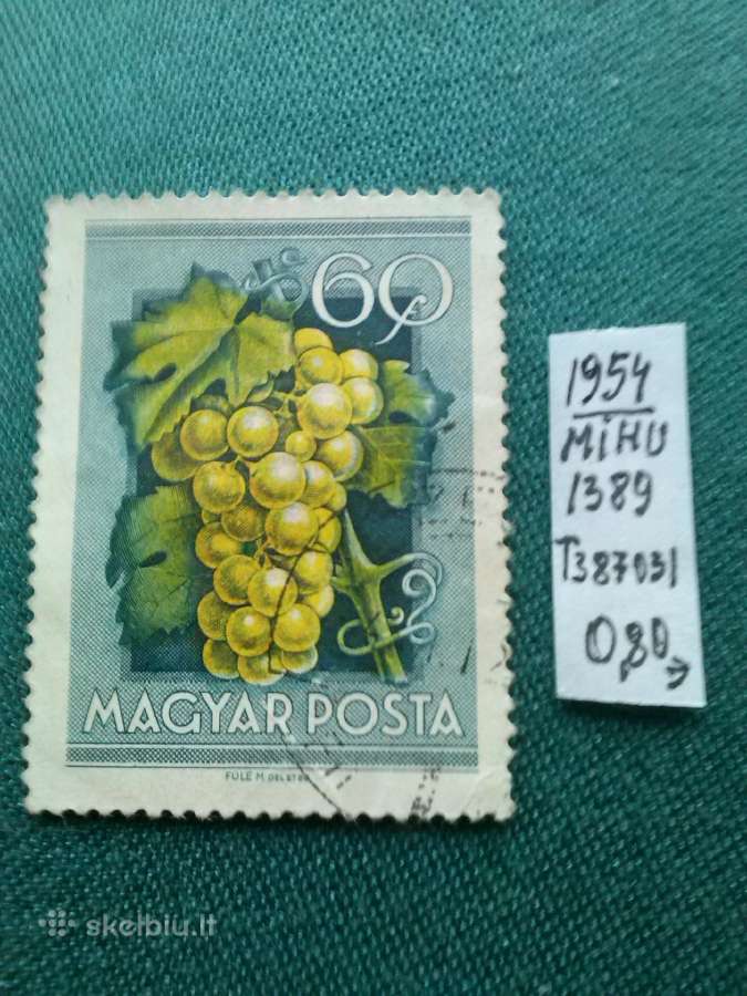 Vengrija. 1954 m. - nuotraukos Nr. 2