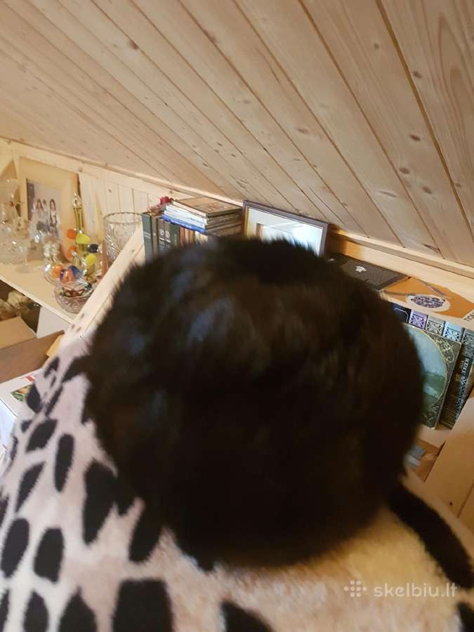 Kokybiška norkos kailiuko kepurė - nuotraukos Nr. 3