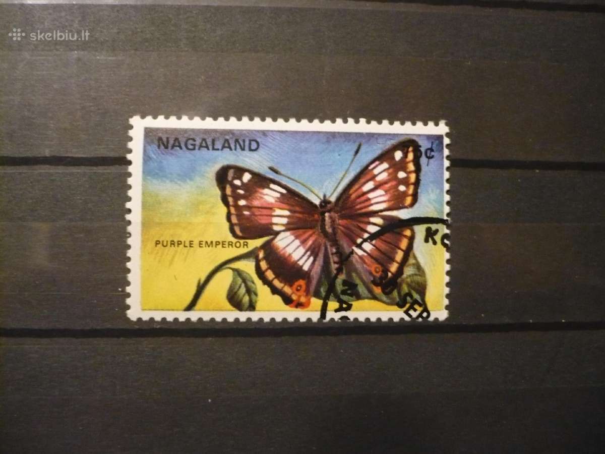 Indija - Nagaland - Drugelis