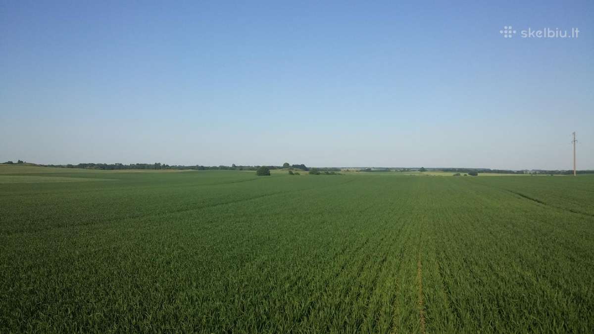 Išsinuomotų/pirktų Ž.ū paskirties žemės. - nuotraukos Nr. 5