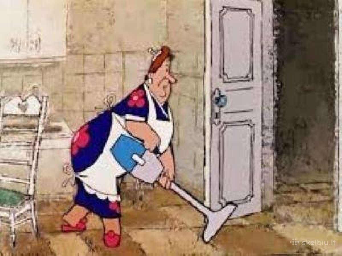 Patyrusi valytoja kokybiškas valymas