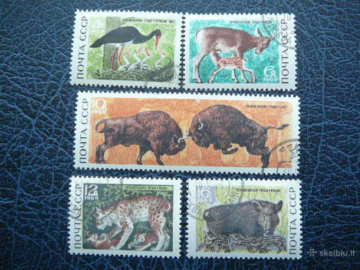 Ssr 1969 Zverys antsp. a3667