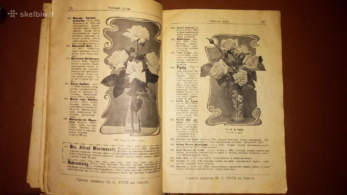 Senovinis rožių katalogas - nuotraukos Nr. 2