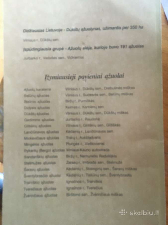 Lietuvos ąžuolai - nuotraukos Nr. 2