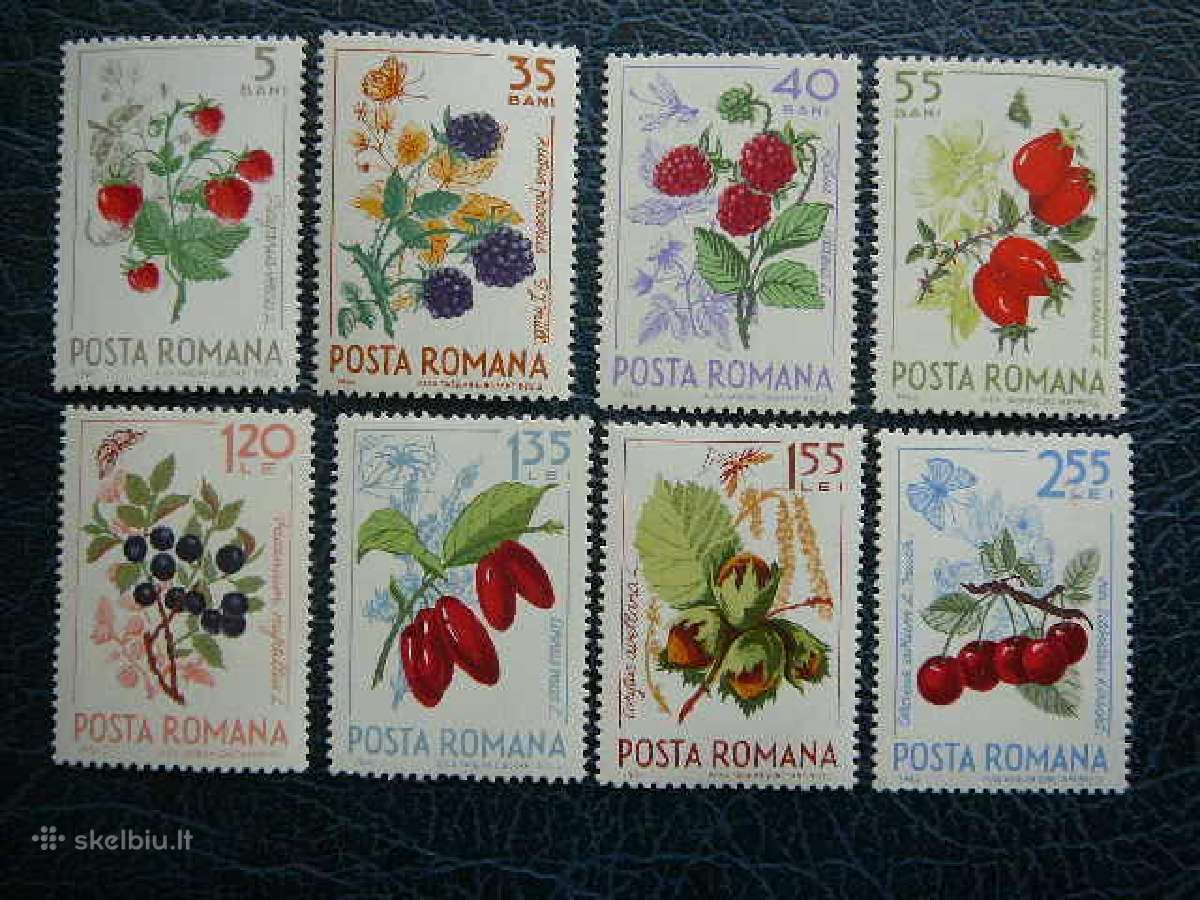 Uogos Rumunija 1964 Mnh alb2361