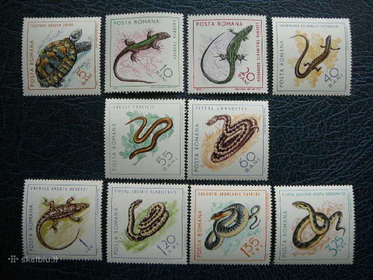 Reptilijos Rumunija 1965 Mnh alb2377