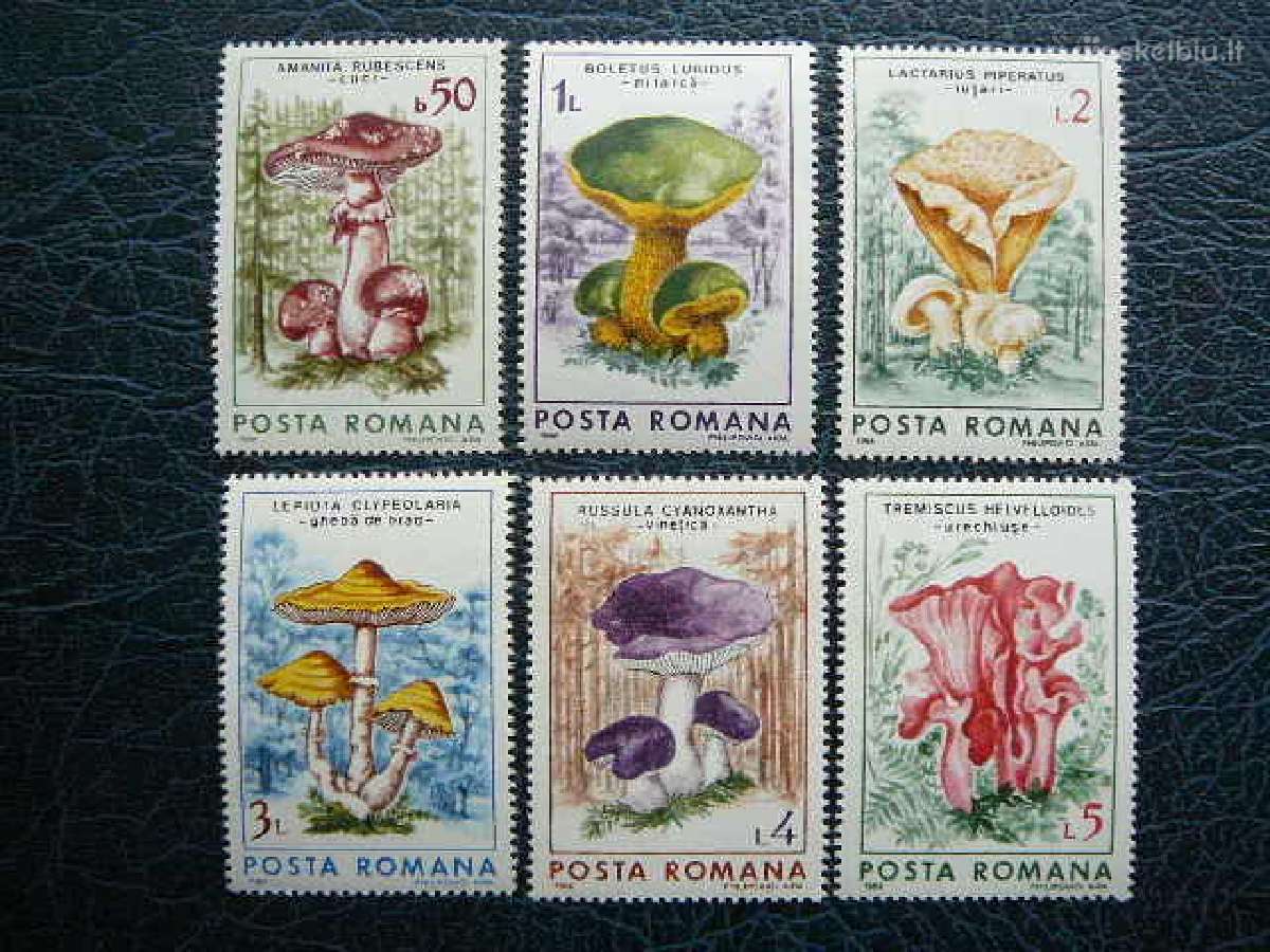 Grybai Rumunija 1986 Mnh alb4288