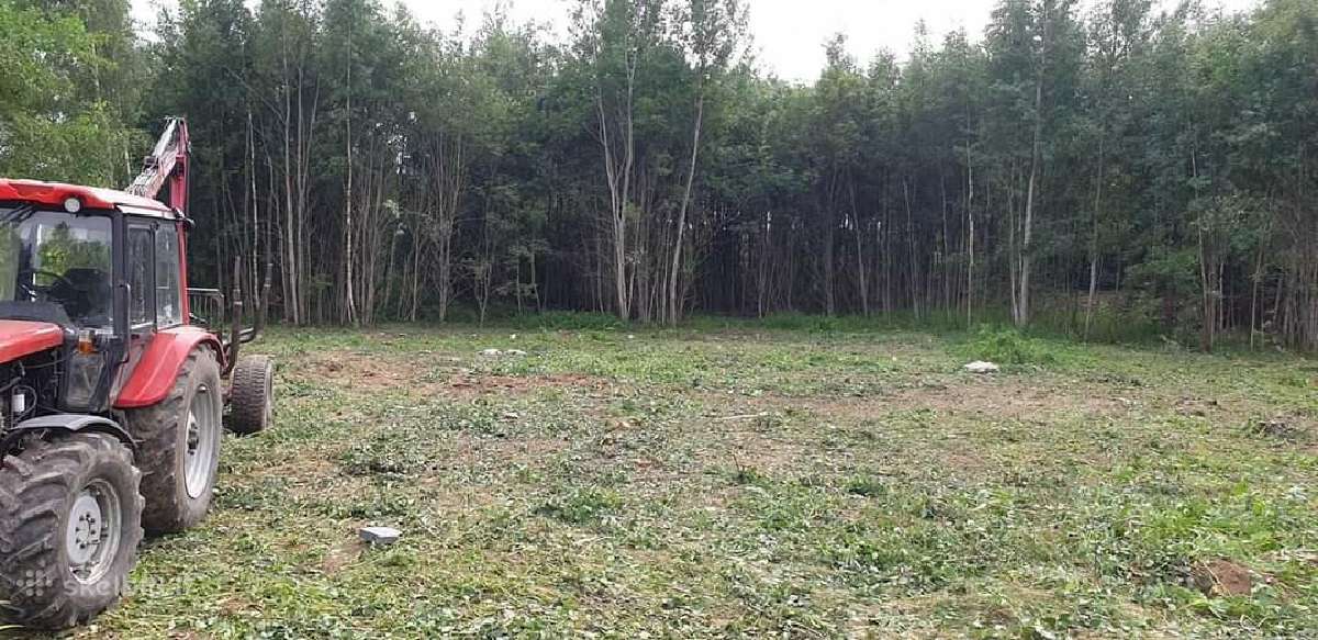 Nemokamai Apleistų sklypų tvarkymas - nuotraukos Nr. 5