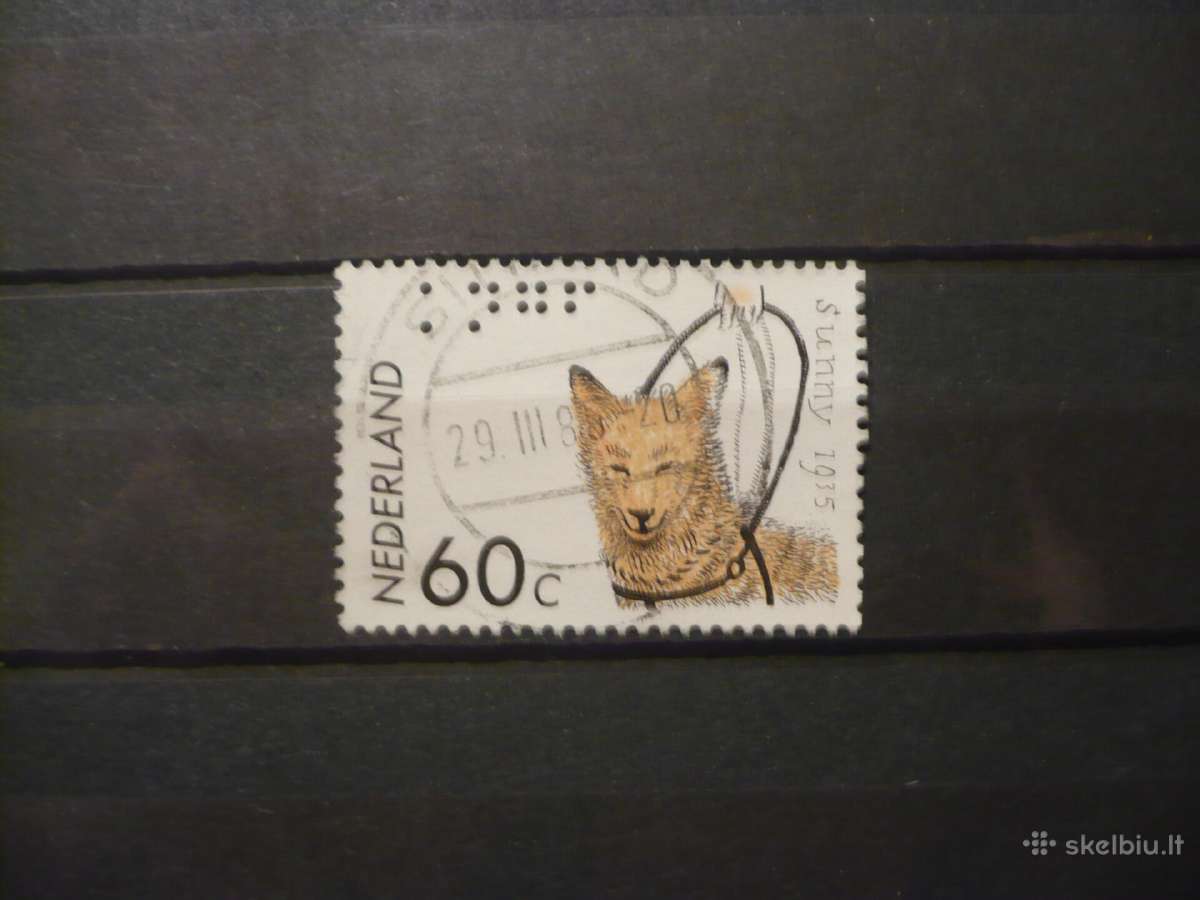 1985 m. Karališkosios šunų vedlio 50-metis