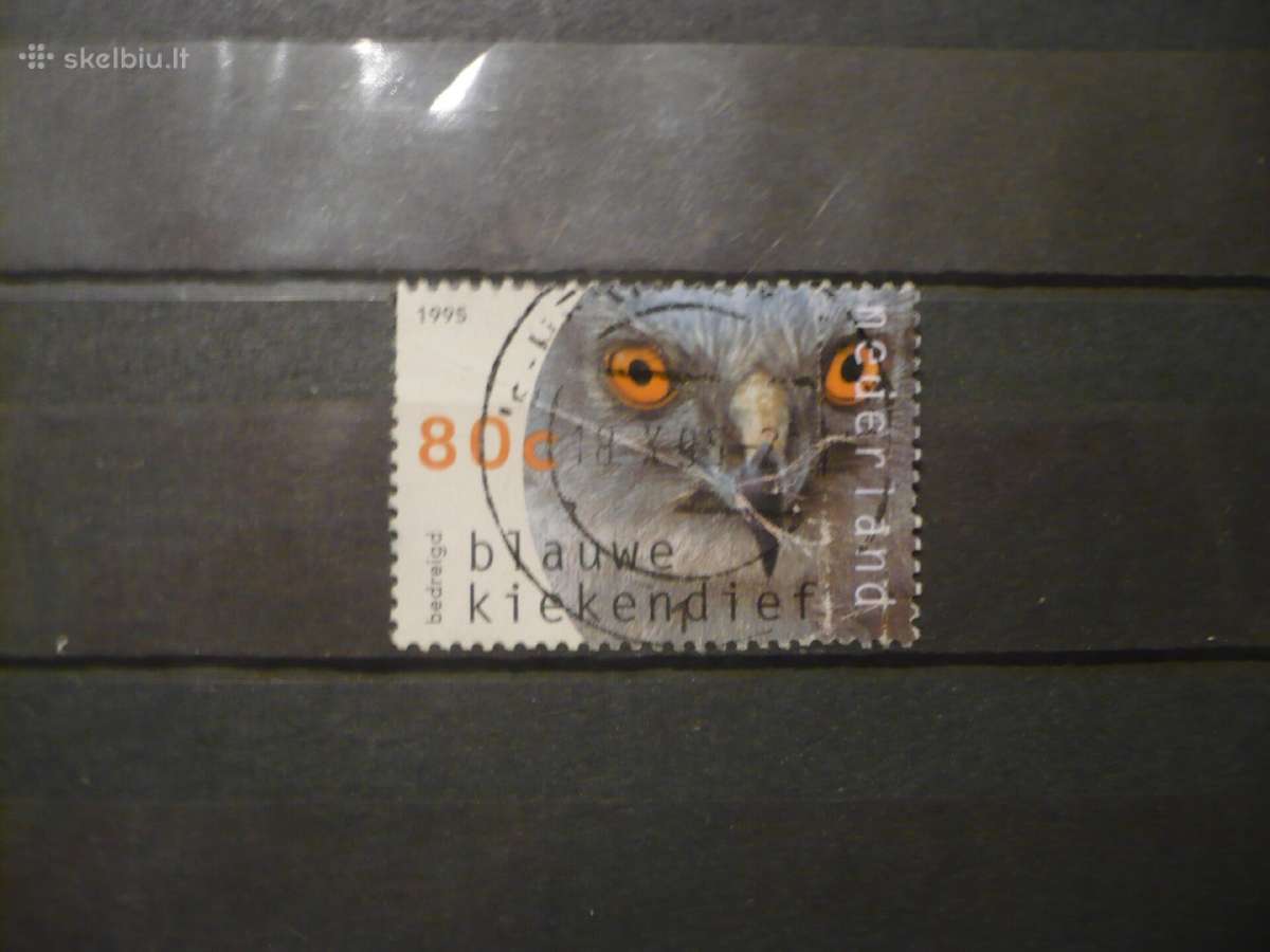 1995 plėšrieji paukščiai